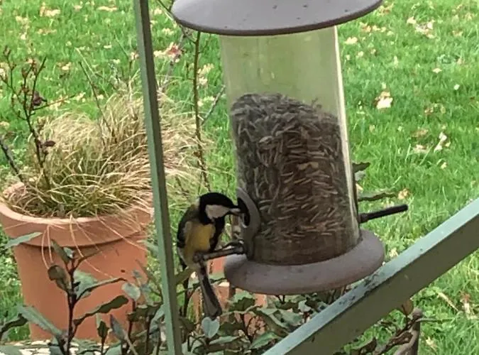 ホームステイ Les Dames Noires