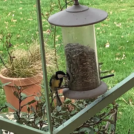 Accommodatie bij particulieren Les Dames Noires